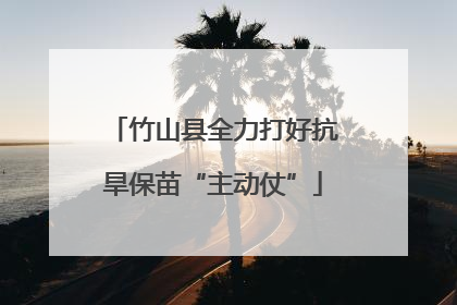 竹山县全力打好抗旱保苗“主动仗”