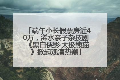 端午小长假票房近40万，浠水亲子杂技剧《黑白侠影·太极熊猫》掀起观演热潮