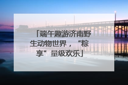 端午趣游济南野生动物世界，“粽享”量级欢乐