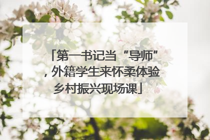 第一书记当“导师”，外籍学生来怀柔体验乡村振兴现场课