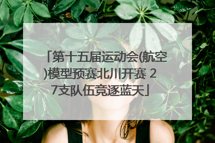 第十五届运动会(航空)模型预赛北川开赛 27支队伍竞逐蓝天