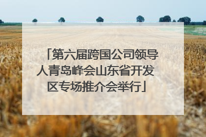 第六届跨国公司领导人青岛峰会山东省开发区专场推介会举行