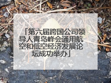 第六届跨国公司领导人青岛峰会通用航空和低空经济发展论坛成功举办