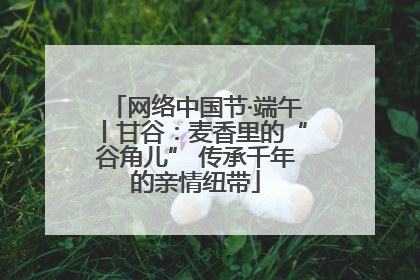 网络中国节·端午丨甘谷：麦香里的“谷角儿” 传承千年的亲情纽带