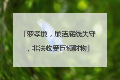 罗孝廉，廉洁底线失守，非法收受巨额财物