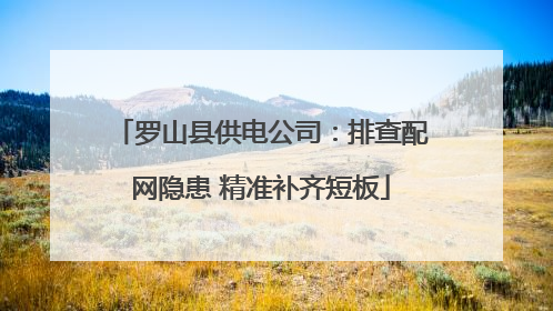 罗山县供电公司：排查配网隐患 精准补齐短板