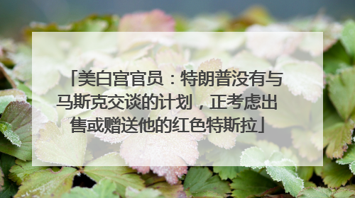 美白宫官员：特朗普没有与马斯克交谈的计划，正考虑出售或赠送他的红色特斯拉
