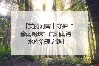 美丽河南丨守护“豫南明珠”信阳南湾水库治理之路