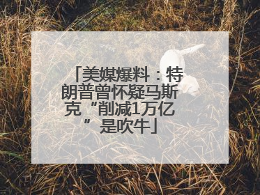 美媒爆料：特朗普曾怀疑马斯克“削减1万亿”是吹牛