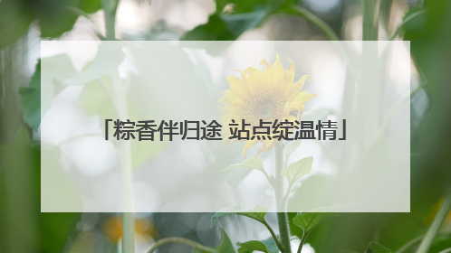 粽香伴归途 站点绽温情