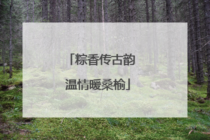 粽香传古韵 温情暖桑榆