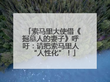 索马里大使借《掘墓人的妻子》呼吁：请把索马里人“人性化”！