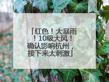 红色！大暴雨！10级大风！确认影响杭州，接下来太刺激