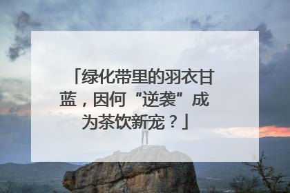 绿化带里的羽衣甘蓝，因何“逆袭”成为茶饮新宠？