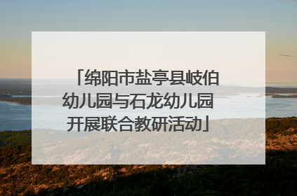 绵阳市盐亭县岐伯幼儿园与石龙幼儿园开展联合教研活动
