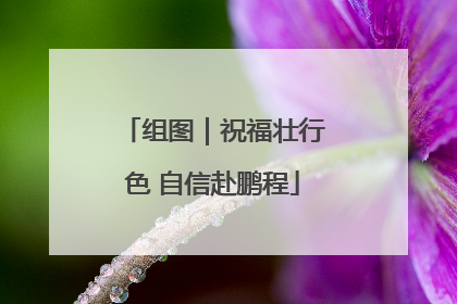 组图｜祝福壮行色 自信赴鹏程