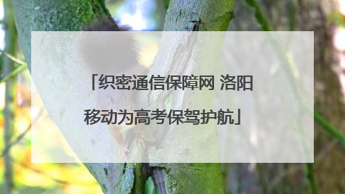 织密通信保障网 洛阳移动为高考保驾护航