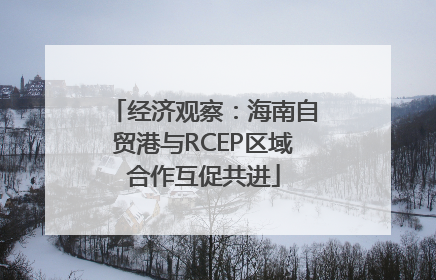 经济观察：海南自贸港与RCEP区域合作互促共进