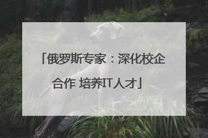 俄罗斯专家：深化校企合作 培养IT人才