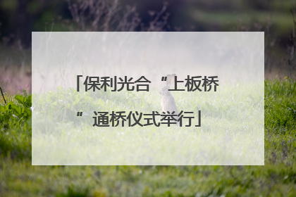 保利光合“上板桥”通桥仪式举行