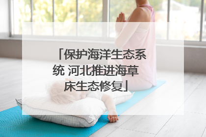 保护海洋生态系统 河北推进海草床生态修复