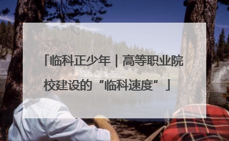 临科正少年｜高等职业院校建设的“临科速度”
