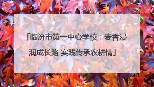 临汾市第一中心学校：麦香浸润成长路 实践传承农耕情
