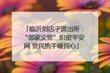 临沂刘店子派出所：“邻家义警”织密平安网 警民携手暖民心