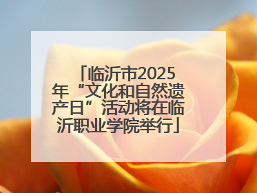 临沂市2025年“文化和自然遗产日”活动将在临沂职业学院举行