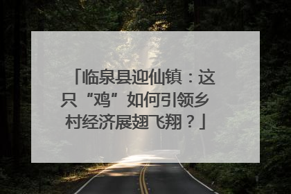 临泉县迎仙镇：这只“鸡”如何引领乡村经济展翅飞翔？