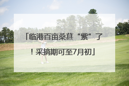 临港百亩桑葚“紫”了！采摘期可至7月初