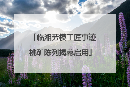 临湘劳模工匠事迹桃矿陈列揭幕启用