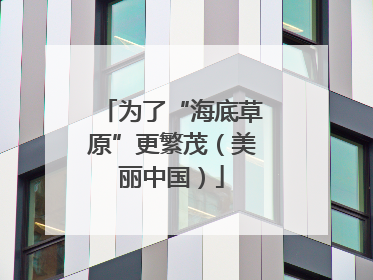 为了“海底草原”更繁茂（美丽中国）
