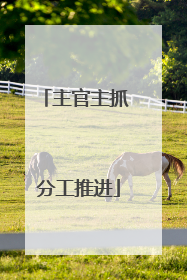 主官主抓 分工推进