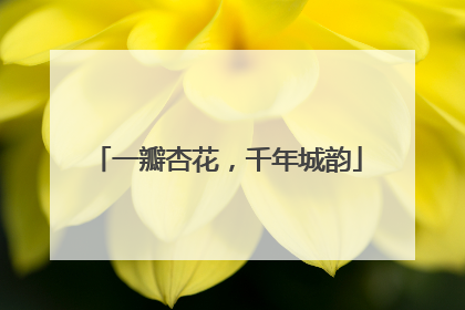 一瓣杏花，千年城韵