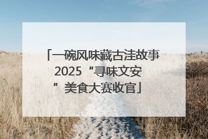 一碗风味藏古洼故事 2025“寻味文安”美食大赛收官