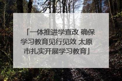 一体推进学查改 确保学习教育见行见效 太原市扎实开展学习教育