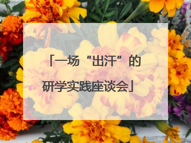 一场“出汗”的研学实践座谈会