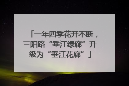 一年四季花开不断，三阳路“垂江绿廊”升级为“垂江花廊”