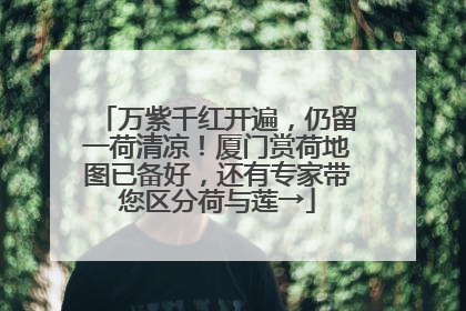 万紫千红开遍，仍留一荷清凉！厦门赏荷地图已备好，还有专家带您区分荷与莲→