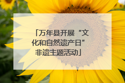 万年县开展“文化和自然遗产日”非遗主题活动