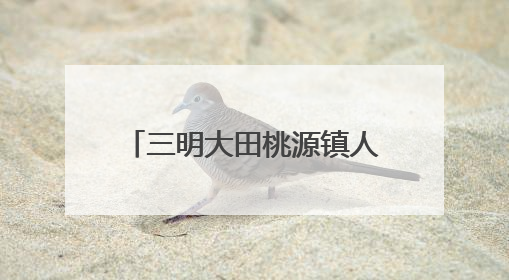 三明大田桃源镇人大：推动河流治理，筑牢生态屏障