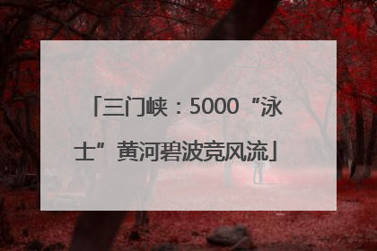 三门峡：5000“泳士”黄河碧波竞风流
