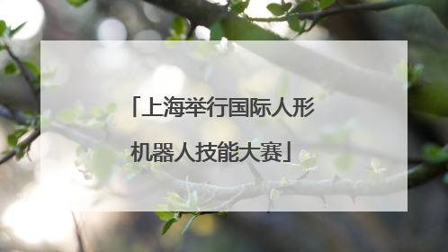 上海举行国际人形机器人技能大赛