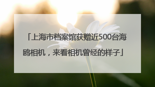 上海市档案馆获赠近500台海鸥相机，来看相机曾经的样子