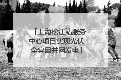 上海松江站服务中心项目实现光伏全容量并网发电