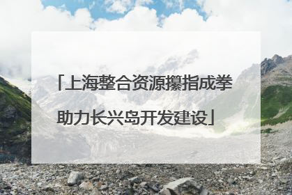 上海整合资源攥指成拳助力长兴岛开发建设