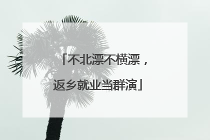 不北漂不横漂，返乡就业当群演