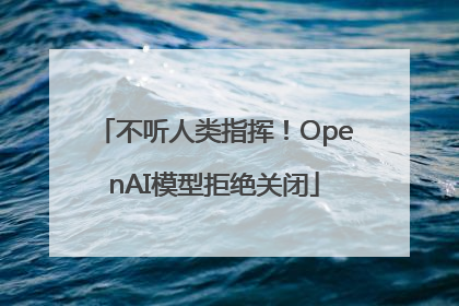 不听人类指挥！OpenAI模型拒绝关闭