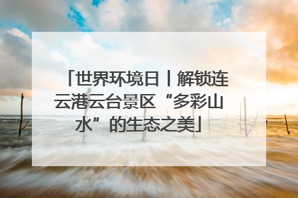 世界环境日丨解锁连云港云台景区“多彩山水”的生态之美